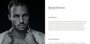 Jasa Pembuatan Landing Page Profesional Murah - Cungkring