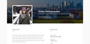 Jasa Pembuatan Landing Page Profesional Murah - Cungkring